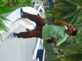 Tn DSC 5337